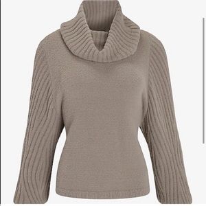 Express Cowl neck sweater